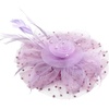 DRESHOW Fascinators Hat Flower Mesh Ribbons Feathers on a Headband and a Clip Tea Party Headwear for Girls and Women(7″ Diameter / Light Purple)