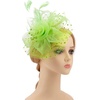 DRESHOW Fascinators Hat Flower Mesh Ribbons Feathers on a Headband and a Clip Tea Party Headwear for Girls and Women(7″ Diameter / Pea Green)