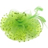 DRESHOW Fascinators Hat Flower Mesh Ribbons Feathers on a Headband and a Clip Tea Party Headwear for Girls and Women(7″ Diameter / Pea Green)