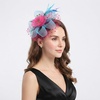 DRESHOW Fascinators Hat Flower Mesh Ribbons Feathers on a Headband and a Clip Tea Party Headwear for Girls and Women(7″ Diameter/ Hot Pink & Teal & Dark Green)