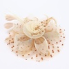 DRESHOW Fascinators Hat Flower Mesh Ribbons Feathers on a Headband and a Clip Tea Party Headwear for Girls and Women(7″ Diameter/ Khaki Apricot)