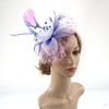 DRESHOW Fascinators Hat Flower Mesh Ribbons Feathers on a Headband and a Clip Tea Party Headwear for Girls and Women(7″ Diameter/ Pink White)