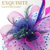 DRESHOW Fascinators Hat Flower Mesh Ribbons Feathers on a Headband and a Clip Tea Party Headwear for Girls and Women(7″ Diameter/ Royal Blue & Hot Pink & Dark Green)