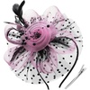 DRESHOW Fascinators Hat Flower Mesh Ribbons Feathers on a Headband and a Clip Tea Party Headwear for Girls and Women(7″ Diameter / Black & Pink)