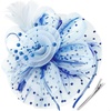 DRESHOW Fascinators Hat Flower Mesh Ribbons Feathers on a Headband and a Clip Tea Party Headwear for Girls and Women(7″ Diameter / Blue & Light Blue)