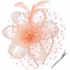 DRESHOW Fascinators Hat Flower Mesh Ribbons Feathers on a Headband and a Clip Tea Party Headwear for Girls and Women(7″ Diameter / Champagne)