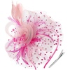 DRESHOW Fascinators Hat Flower Mesh Ribbons Feathers on a Headband and a Clip Tea Party Headwear for Girls and Women(7″ Diameter / Dark Pink & Light Pink)