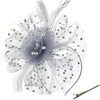 DRESHOW Fascinators Hat Flower Mesh Ribbons Feathers on a Headband and a Clip Tea Party Headwear for Girls and Women(7″ Diameter / Grey)