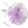 DRESHOW Fascinators Hat Flower Mesh Ribbons Feathers on a Headband and a Clip Tea Party Headwear for Girls and Women(7″ Diameter / Light Purple)