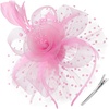 DRESHOW Fascinators Hat Flower Mesh Ribbons Feathers on a Headband and a Clip Tea Party Headwear for Girls and Women(7″ Diameter / Pink)