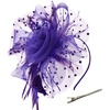 DRESHOW Fascinators Hat Flower Mesh Ribbons Feathers on a Headband and a Clip Tea Party Headwear for Girls and Women(7″ Diameter / Purple)