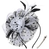 DRESHOW Fascinators Hat Flower Mesh Ribbons Feathers on a Headband and a Clip Tea Party Headwear for Girls and Women(7″ Diameter/ Black White)
