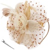 DRESHOW Fascinators Hat Flower Mesh Ribbons Feathers on a Headband and a Clip Tea Party Headwear for Girls and Women(7″ Diameter/ Khaki Apricot)